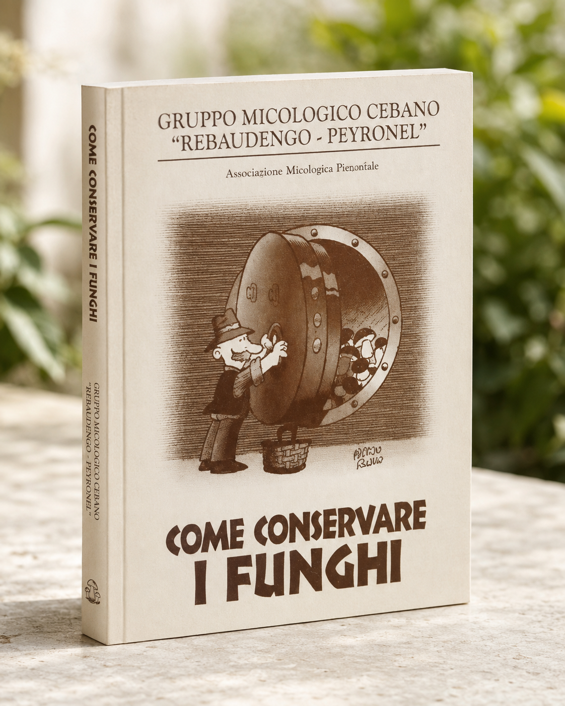 Come conservare i funghi