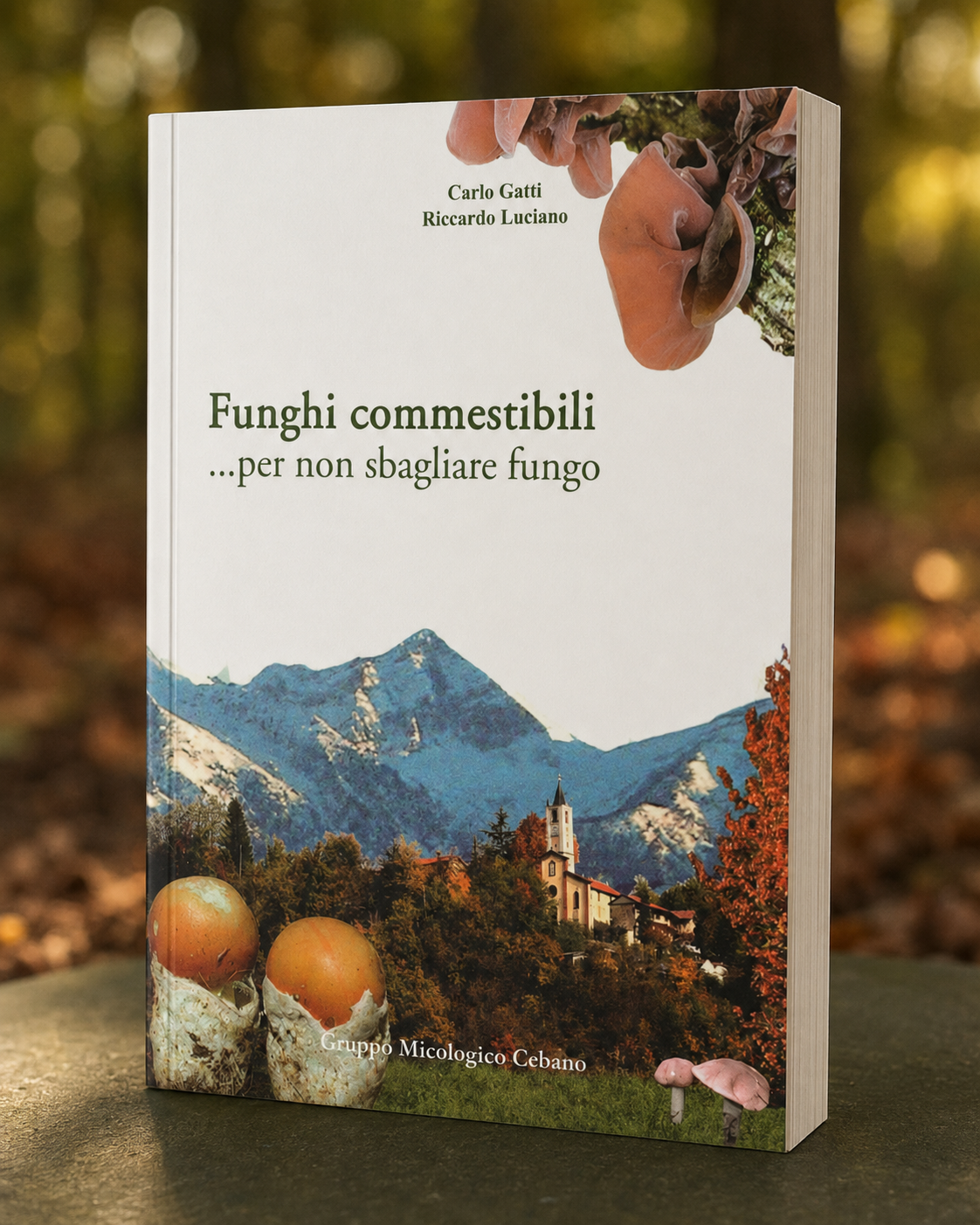 Funghi commestibili... per non sbagliare fungo