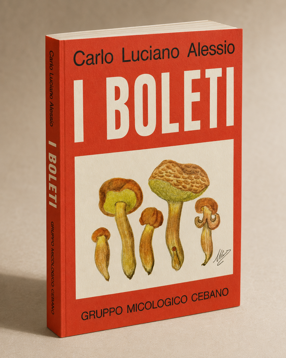 I boleti